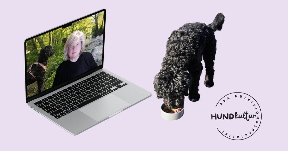 Boka ett kostnadsfritt kvartsamtal online.