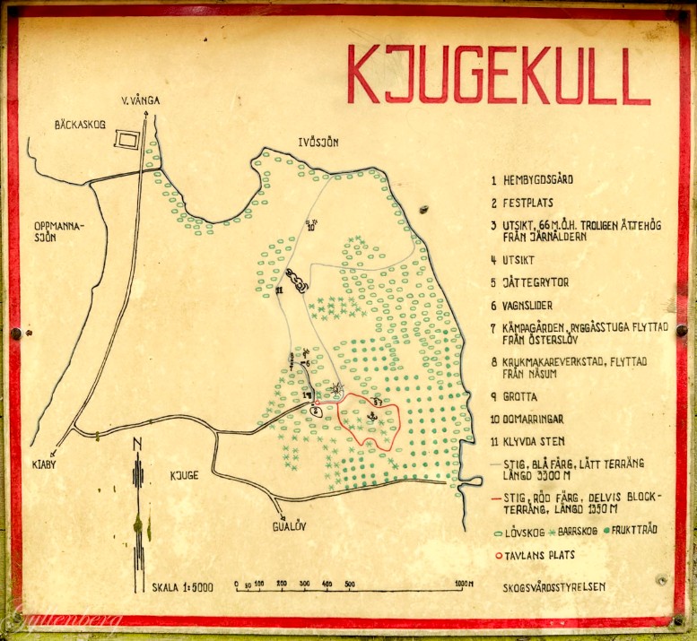 nosework, noseworkkurs, nosaktivering, nosäventyr