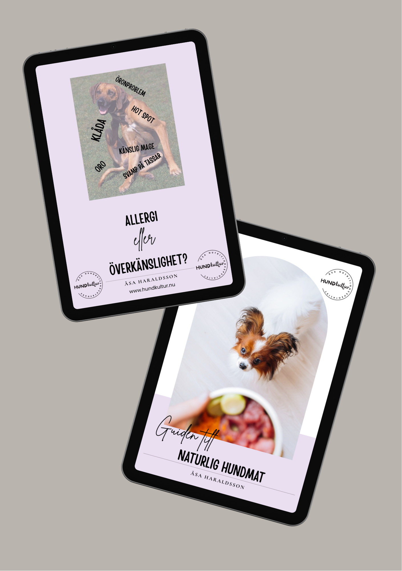 Foderguide, välja foder, fodersamtal, hundmatsnack, torrfoder, färskfoder, guiden till naturlig hundmat, minikurs