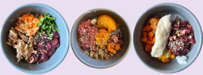 Tre hundmatskålar med naturlig hundmat.