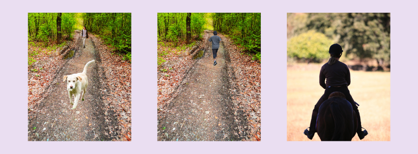 känslostarka möten, hundmöte, joggare, 