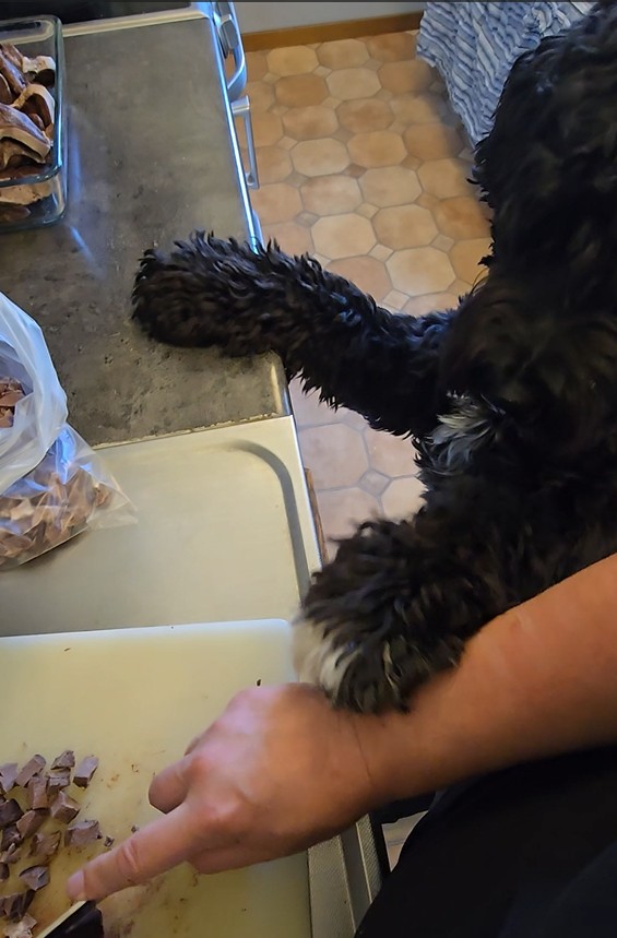 göra eget hundgodis, laga eget hundgodis, favoritgodis, hundgodis